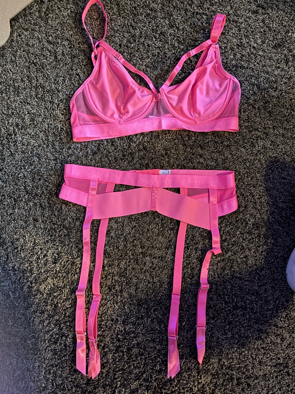 New! Bright Pink Bra and Garter Belt Set